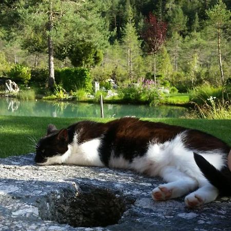 Ferienwohnung Bettina Berg im Drautal Dış mekan fotoğraf