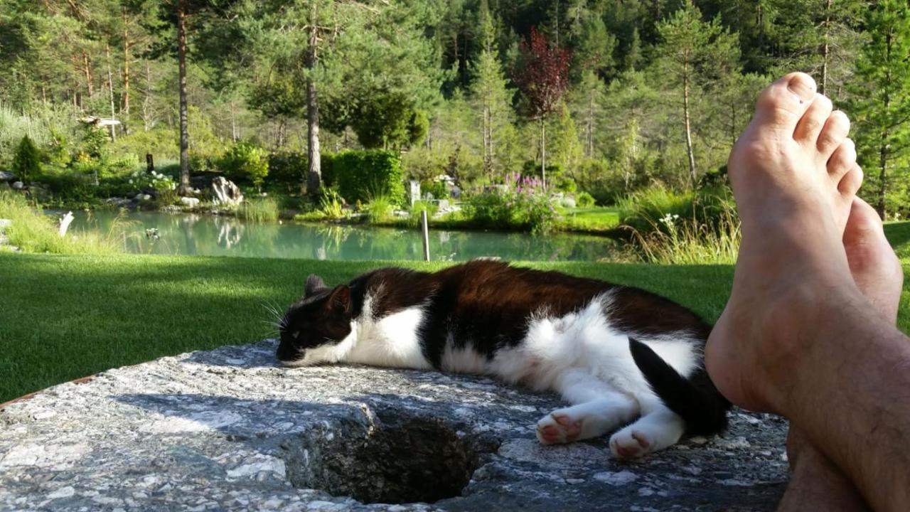 Ferienwohnung Bettina Berg im Drautal Dış mekan fotoğraf